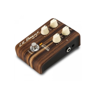 L.R. Baggs Align Reverb