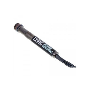 L.R. Baggs Lyric Mic