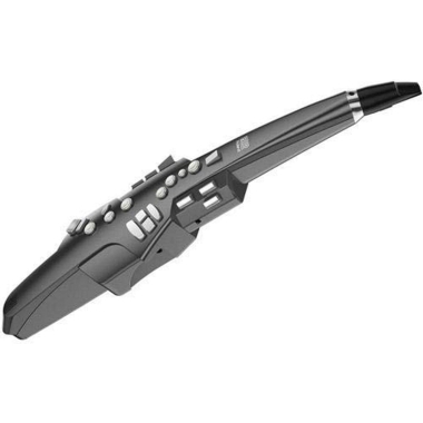 Roland AE-10G Aerophone