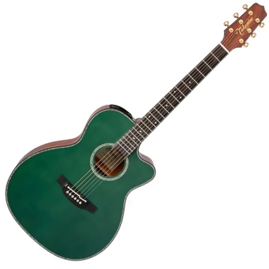 Takamine  LTD 2025 -...