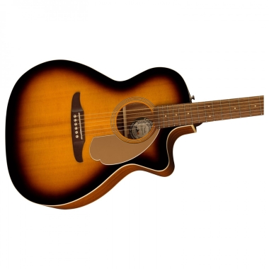 Fender Newporter Player WN...