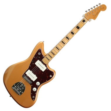 Fender Artist Troy Van...
