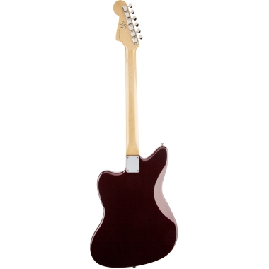 Fender Artist Troy Van...