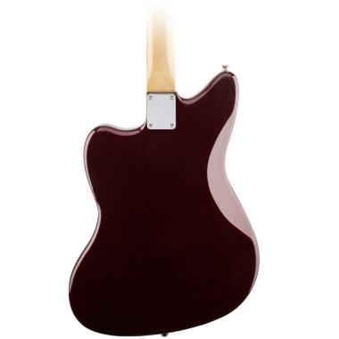 Fender Artist Troy Van...