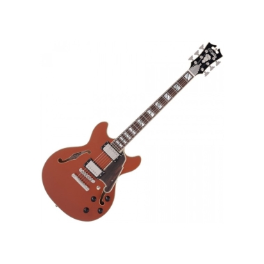 DAngelico Deluxe Mini DC LE...