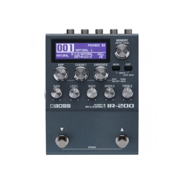 Boss IR-200 Amp & IR Cabinet