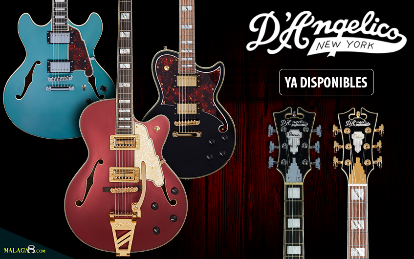 DAngelico Guitars en Malaga8